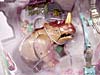 Beast Wars (10th Anniversary) Rhinox (Reissue) - Image #23 of 109