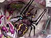 Beast Wars (10th Anniversary) Tarantulas (Reissue) - Image #4 of 84