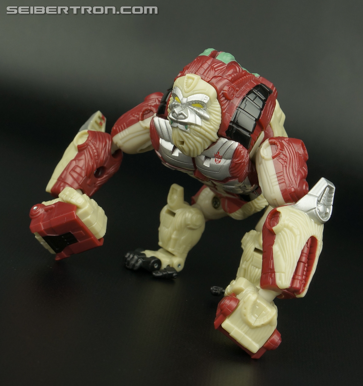 Transformers Convention &amp; Club Exclusives Knight Apelinq (Image #55 of 183)