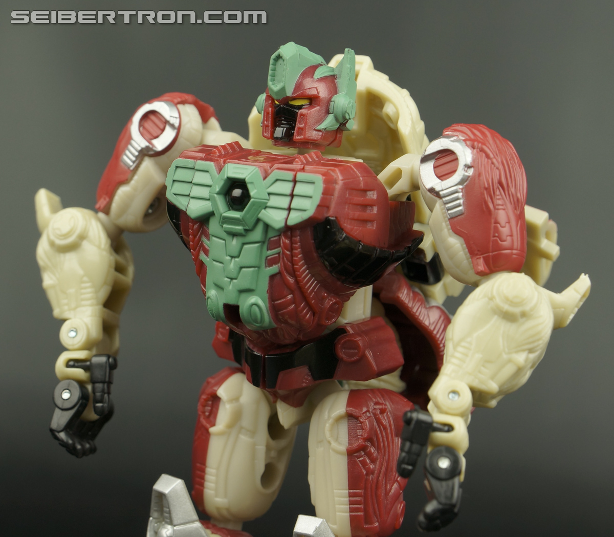 Transformers Convention &amp; Club Exclusives Knight Apelinq (Image #116 of 183)