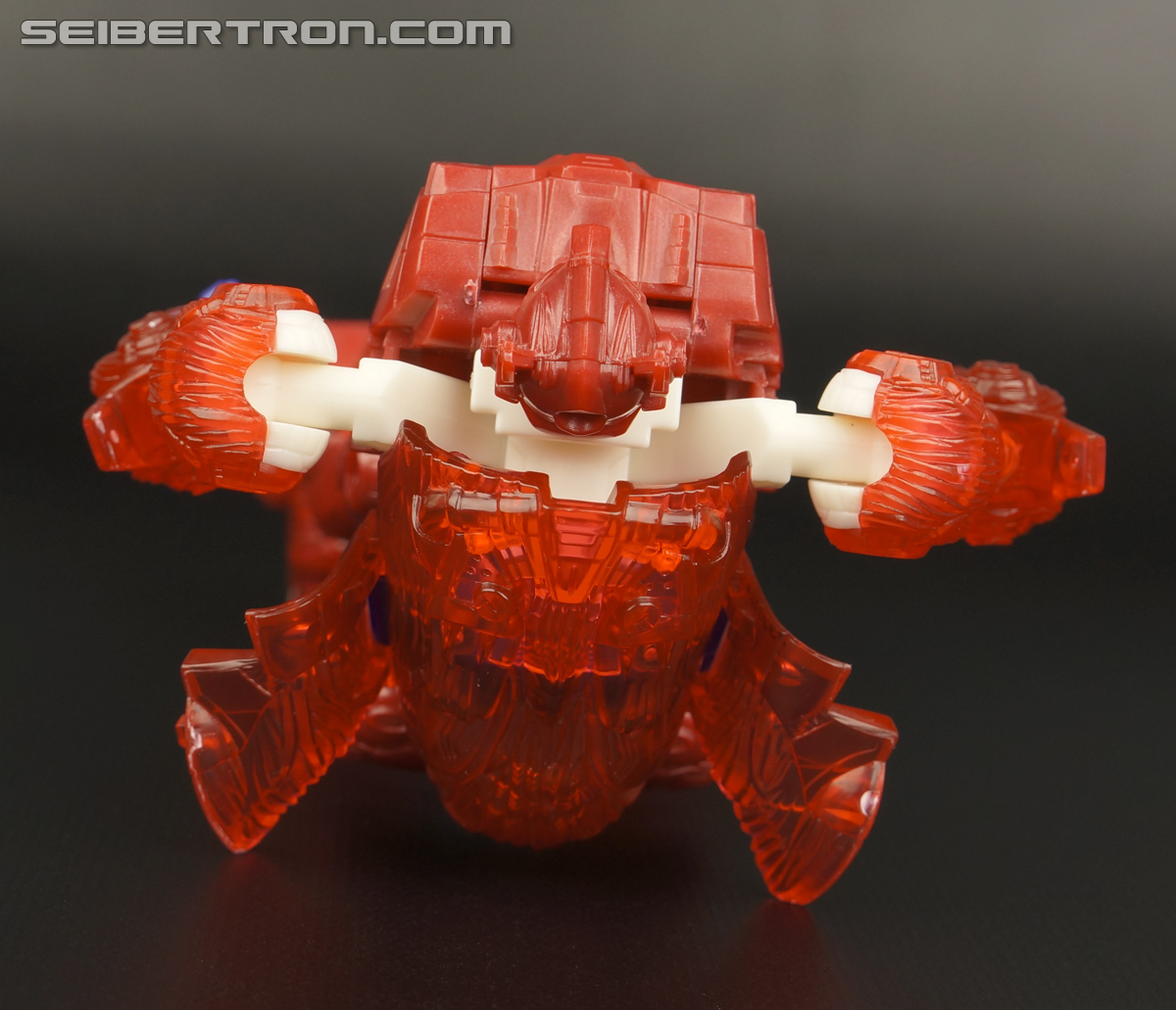 Transformers Convention &amp; Club Exclusives Primal Prime (Image #139 of 167)