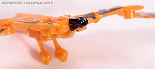 Transformers Convention &amp; Club Exclusives Divebomb (Shattered Glass) (Image #4 of 59)