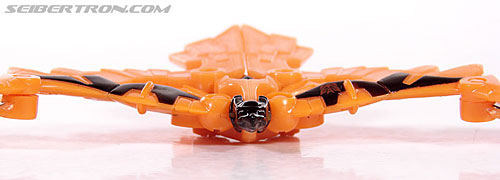 Transformers Convention &amp; Club Exclusives Divebomb (Shattered Glass) (Image #16 of 59)