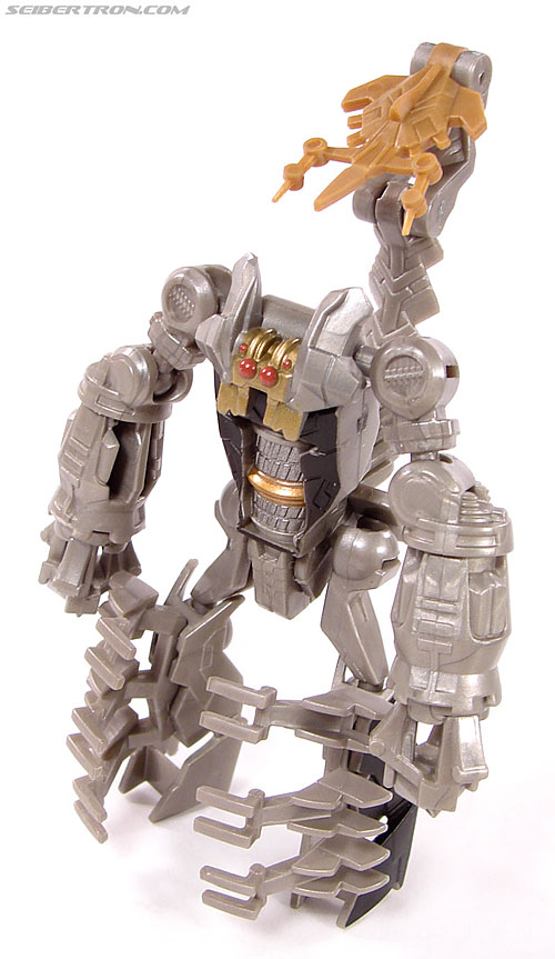 scorponok 2007