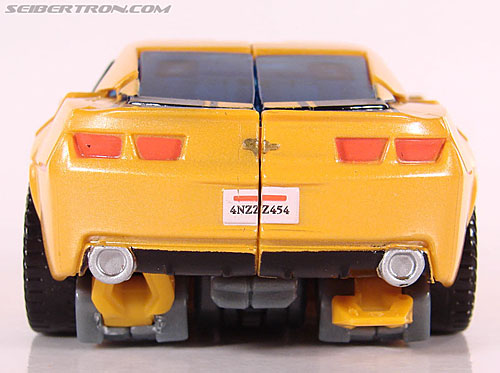 premium bumblebee