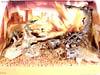 Transformers (2007) Screen Battles: Desert Attack - Image #21 of 171