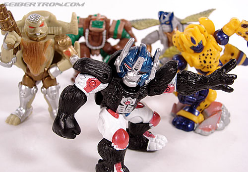 Transformers Robot Heroes Optimus Primal (BW) (Image #29 of 29)