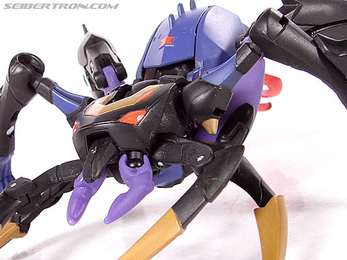 Transformers Animated Blackarachnia (Image #34 of 126)