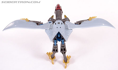 Transformers Animated Swoop (Image #28 of 98)