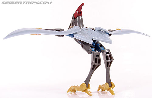 Transformers Animated Swoop (Image #29 of 98)