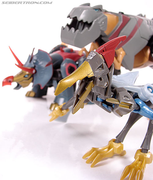Transformers Animated Swoop (Image #41 of 98)