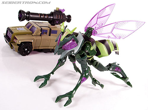 transformers wasp toy