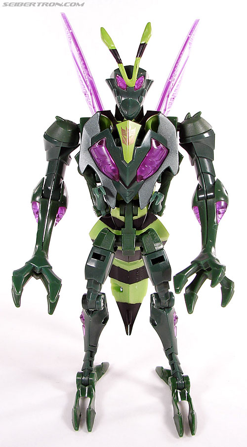 Transformers Animated Waspinator (Wasp) (Image #53 of 110)