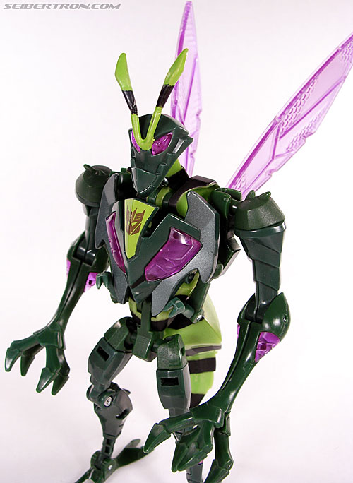 Transformers Animated Waspinator (Wasp) (Image #67 of 110)