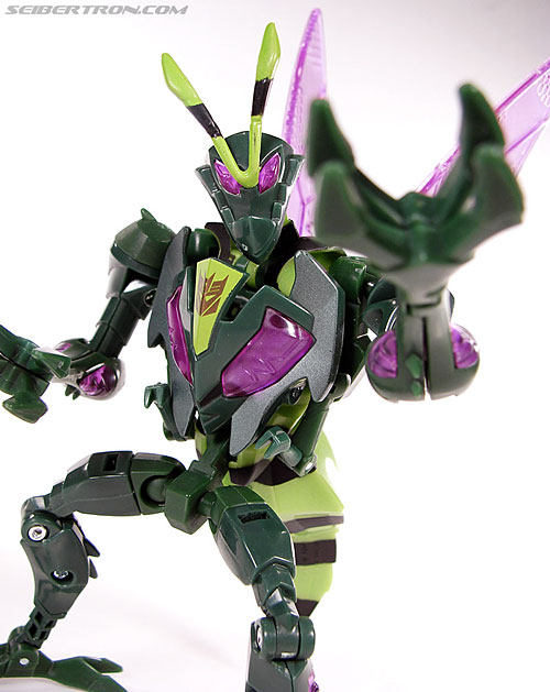 Transformers Animated Waspinator (Wasp) (Image #69 of 110)