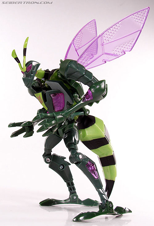 Transformers Animated Waspinator (Wasp) (Image #82 of 110)