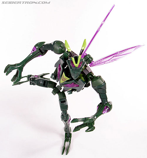 Transformers Animated Waspinator (Wasp) (Image #87 of 110)