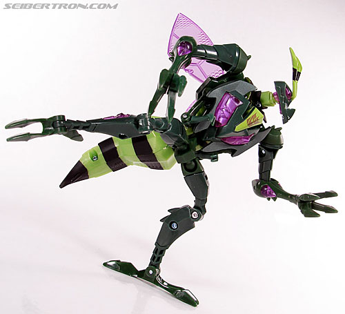 Transformers Animated Waspinator (Wasp) (Image #90 of 110)