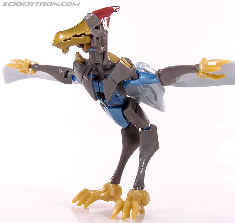 Transformers Animated Swoop (Image #32 of 98)