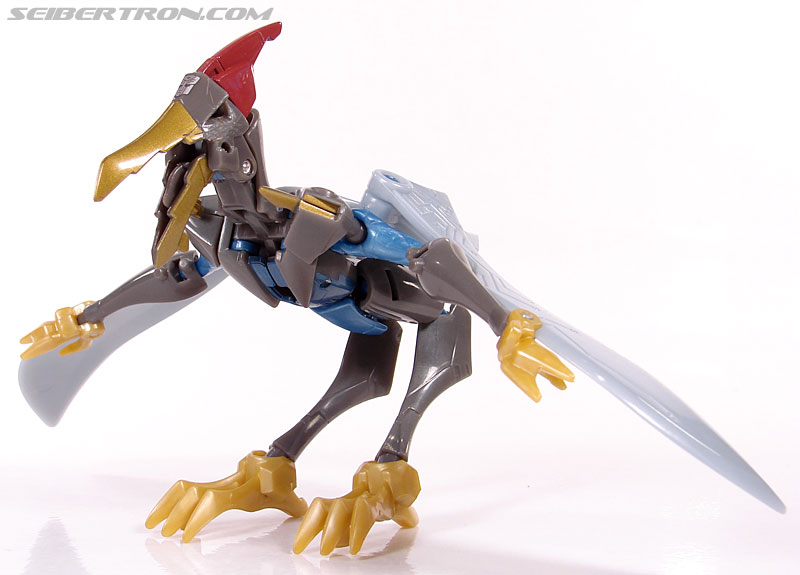 Transformers Animated Swoop (Image #36 of 98)
