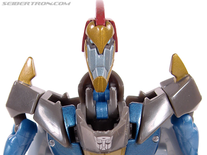 Transformers Animated Swoop (Image #53 of 98)