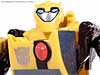 Transformers Animated Bumblebee - Image #58 of 77