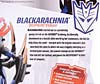 Transformers Animated Blackarachnia - Image #11 of 126
