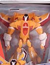 Transformers Animated Sunstorm - Image #11 of 133
