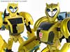 Transformers Animated Bumblebee - Image #97 of 115