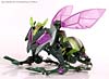 Transformers Animated Waspinator - Image #35 of 110