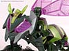 Transformers Animated Waspinator - Image #36 of 110