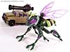 Transformers Animated Waspinator - Image #47 of 110