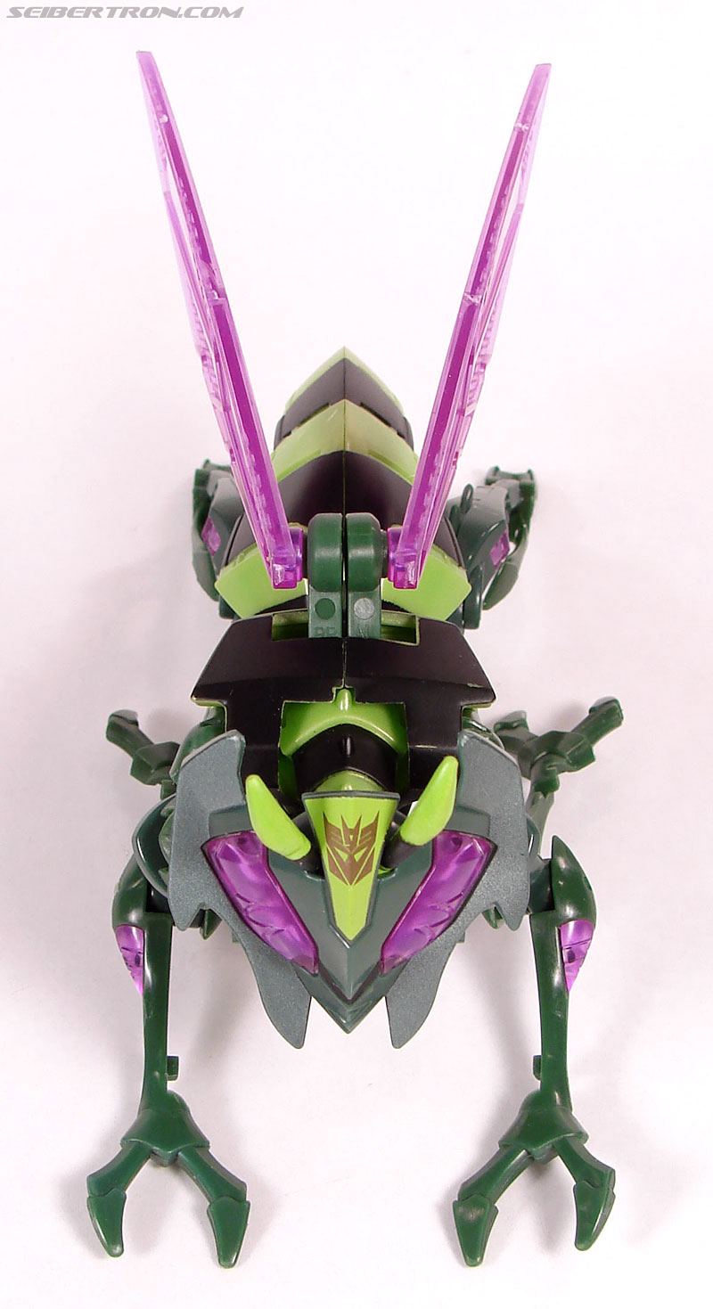 transformers wasp toy