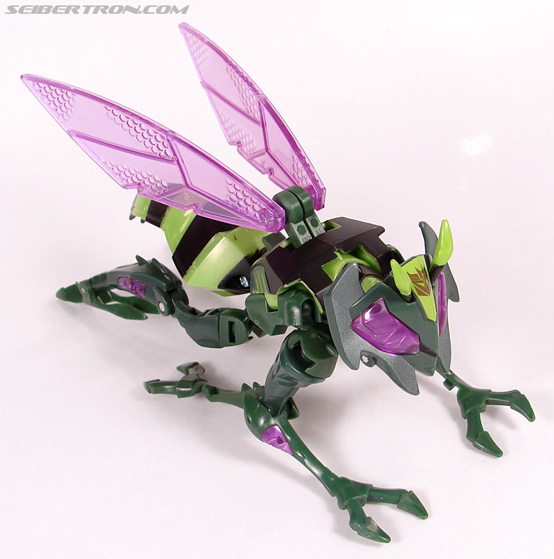 Transformers Animated Waspinator (Wasp) (Image #25 of 110)
