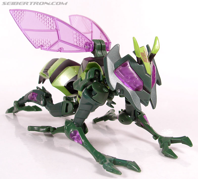 Transformers Animated Waspinator (Wasp) (Image #26 of 110)