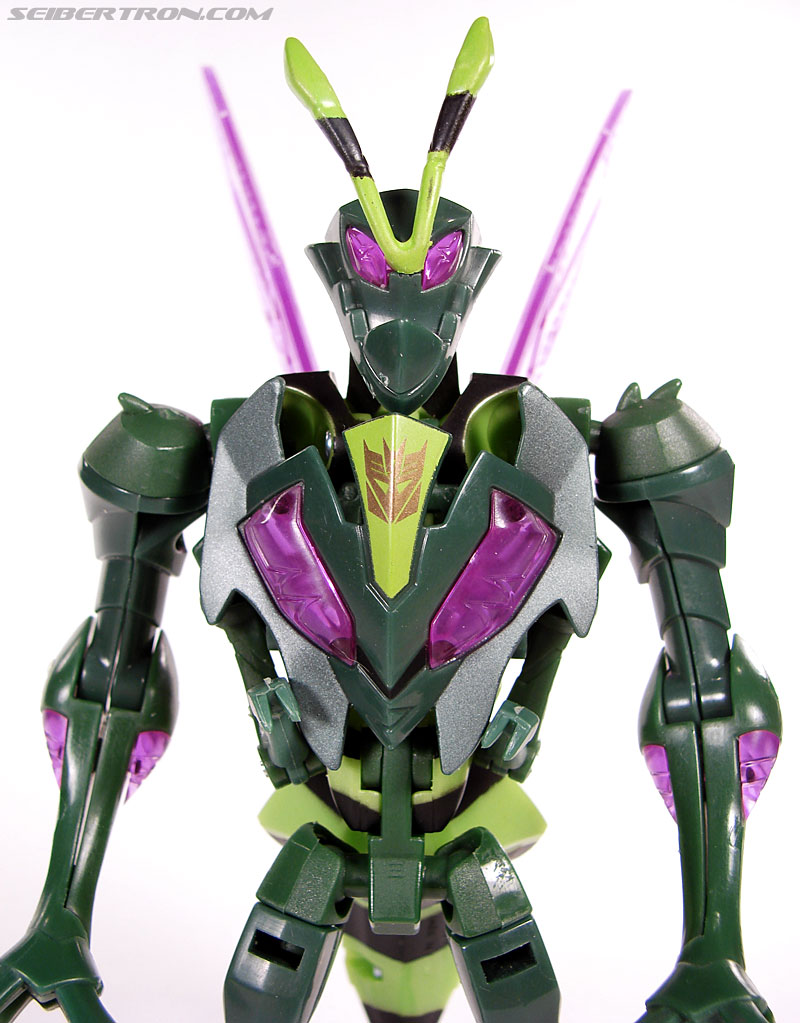 Transformers Animated Waspinator (Wasp) (Image #54 of 110)
