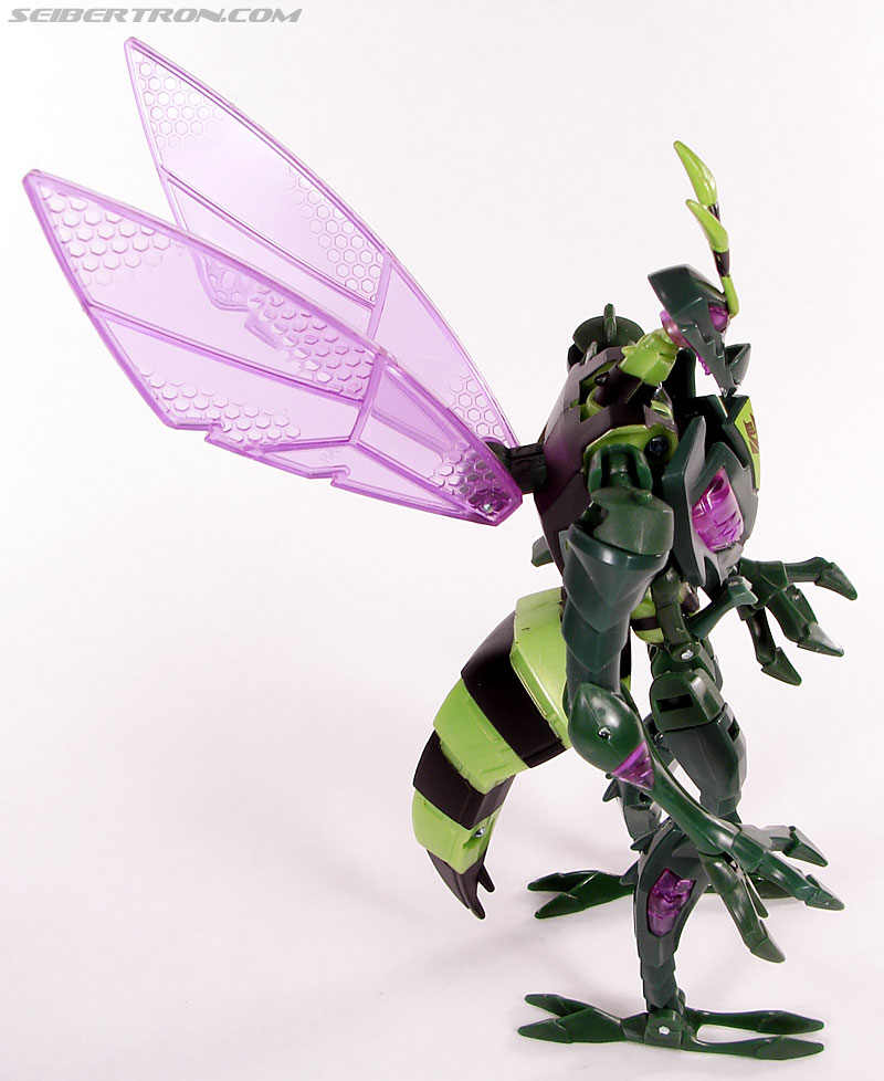 Transformers Animated Waspinator (Wasp) (Image #60 of 110)
