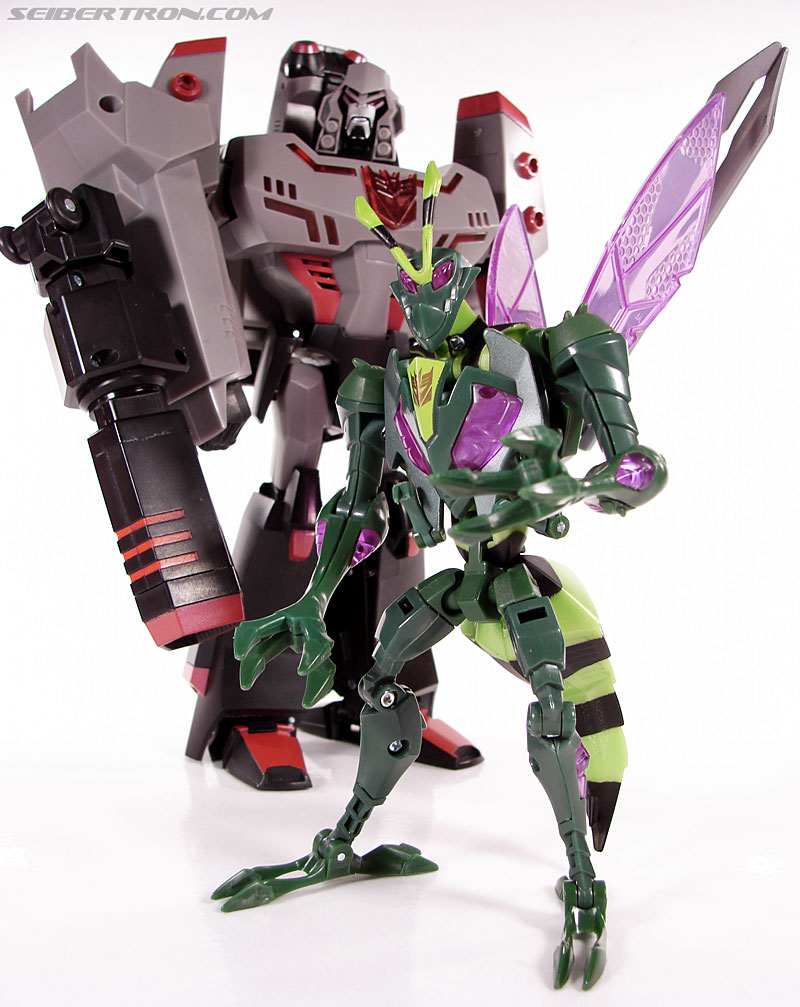 Transformers Animated Waspinator (Wasp) (Image #103 of 110)