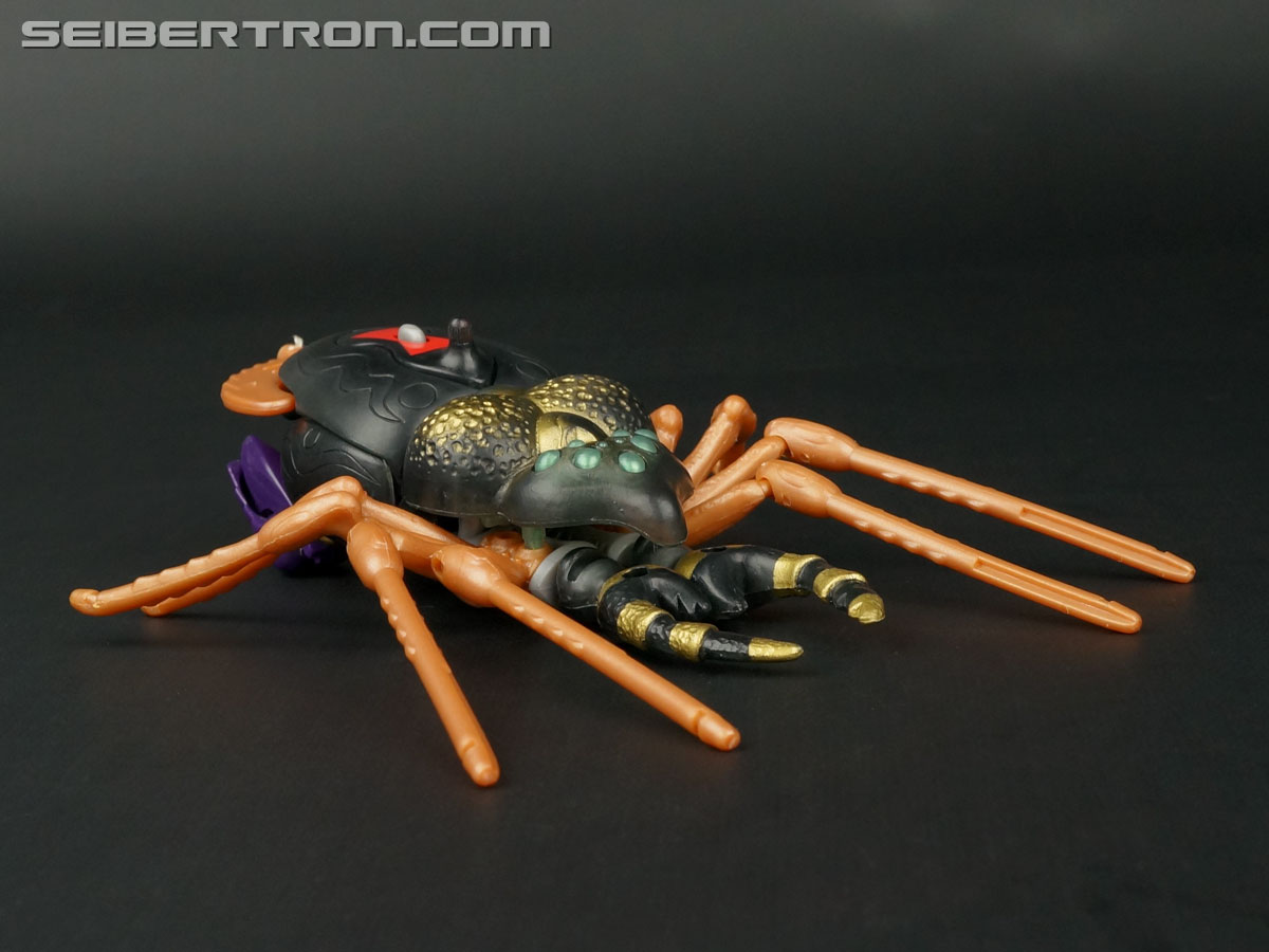 Transformers Beast Wars Blackarachnia (Black Widow) (Image #23 of 149)