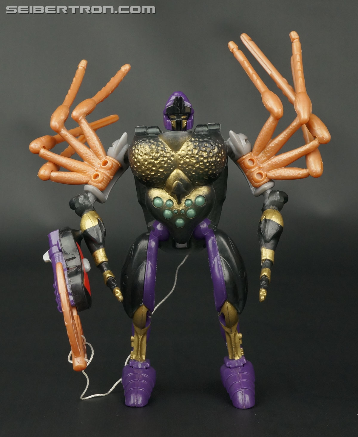 Transformers Beast Wars Blackarachnia (Black Widow) (Image #46 of 149)