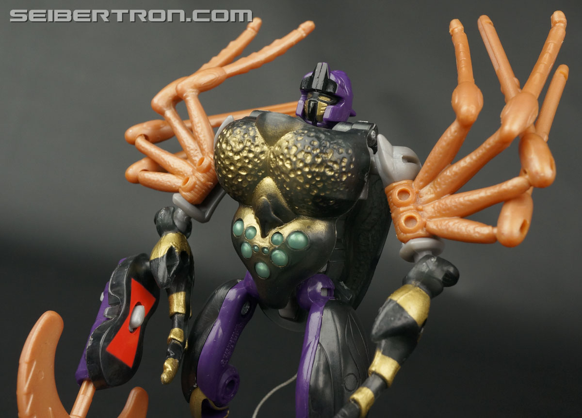 Transformers Beast Wars Blackarachnia (Black Widow) (Image #66 of 149)