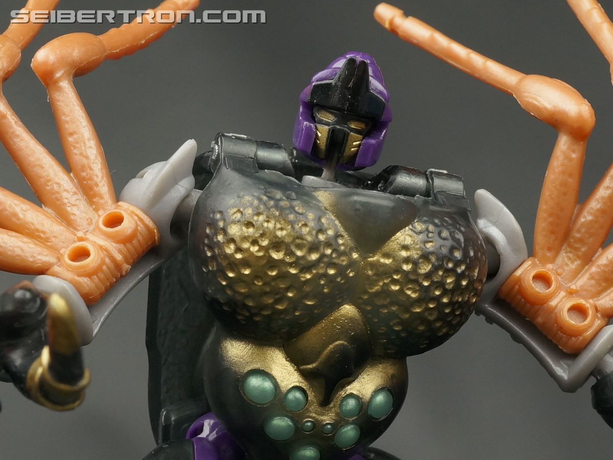 Transformers Beast Wars Blackarachnia (Black Widow) (Image #94 of 149)