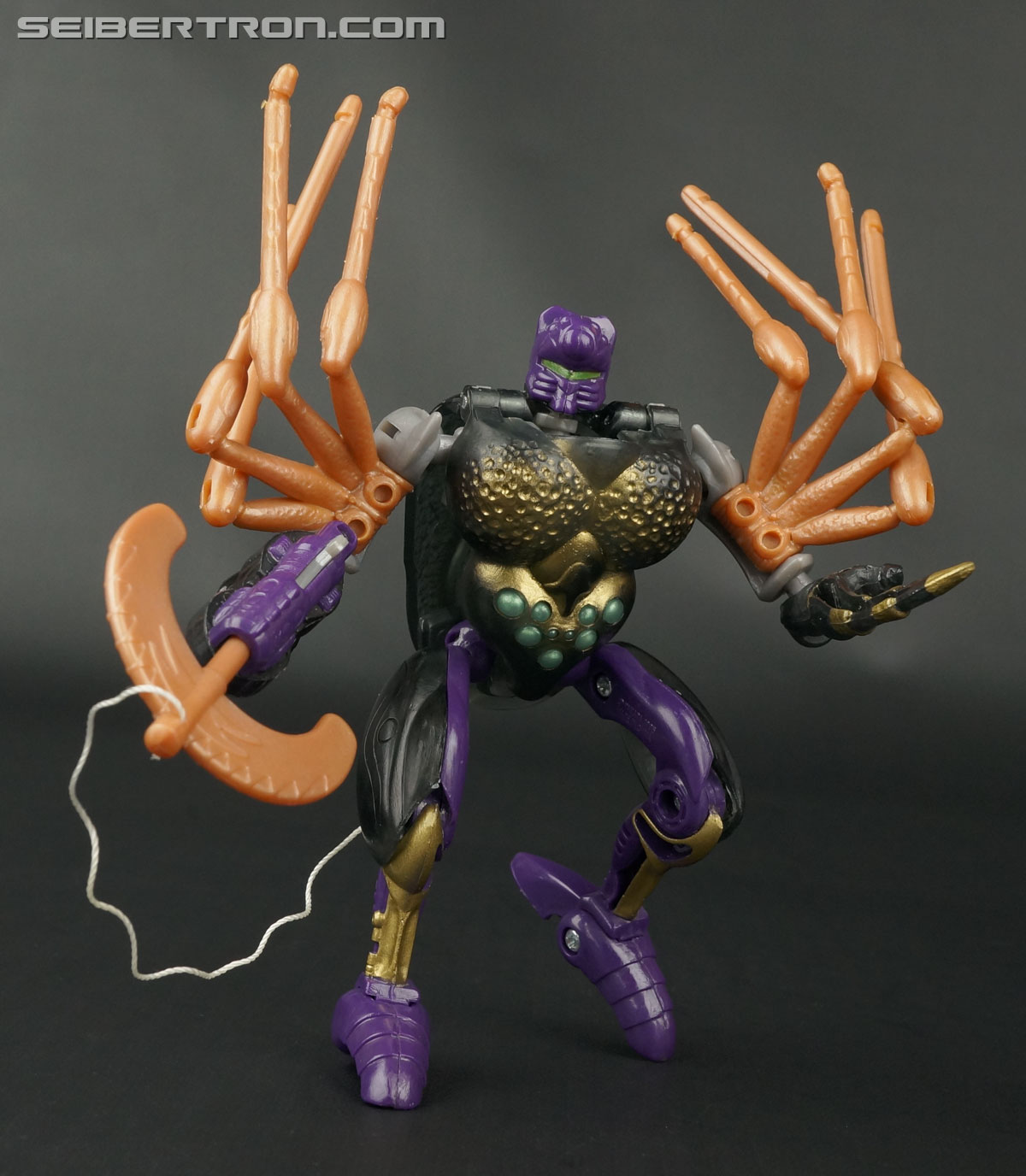 Transformers Beast Wars Blackarachnia (Black Widow) (Image #127 of 149)