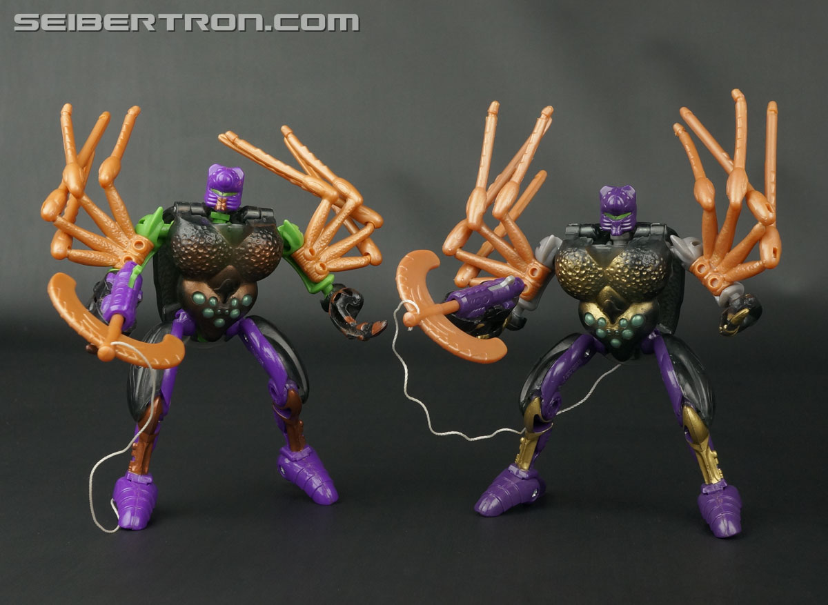 Transformers Beast Wars Blackarachnia (Black Widow) (Image #138 of 149)