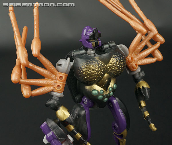 Transformers Beast Wars Blackarachnia (Black Widow) (Image #49 of 149)