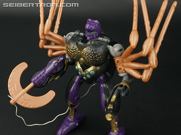 Transformers Beast Wars Blackarachnia (Black Widow) (Image #117 of 149)