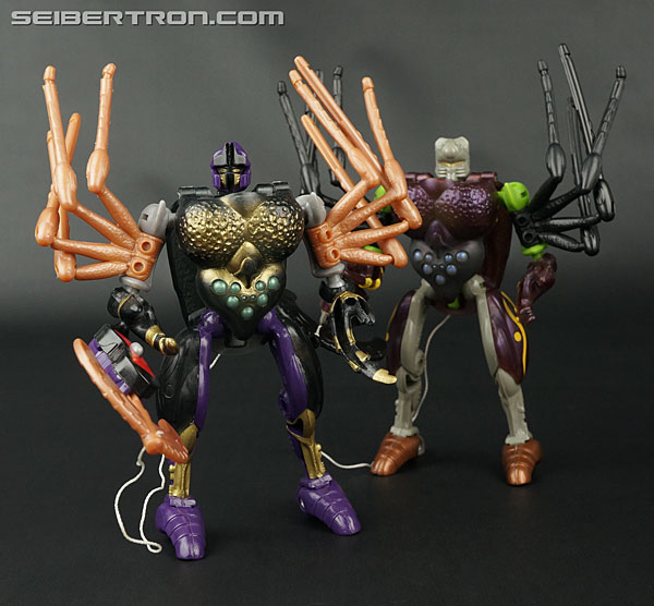 Transformers Beast Wars Blackarachnia (Black Widow) (Image #146 of 149)