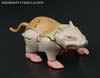 Beast Wars Rattle (Rattrap)  - Image #28 of 111