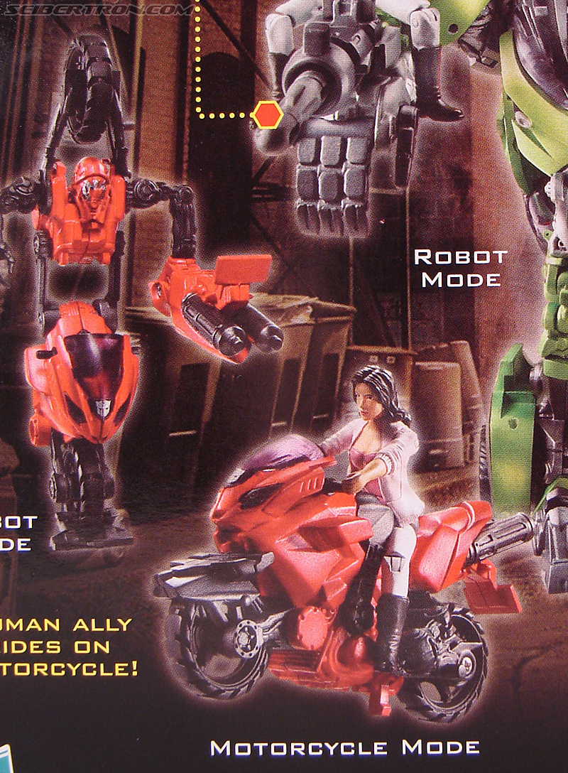 Transformers Revenge of the Fallen Arcee (Image #4 of 86)