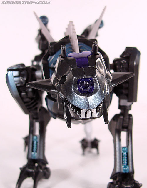 Transformers Revenge of the Fallen Ravage (Image #36 of 91)
